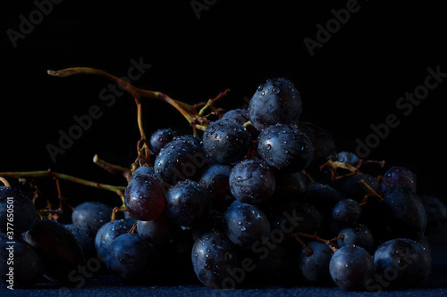 Fotografie Grape Muscat Hamburg