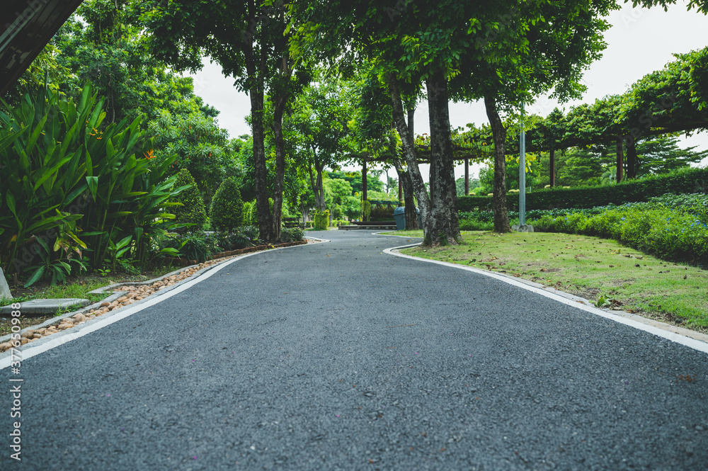 Road in the park overcast sky period