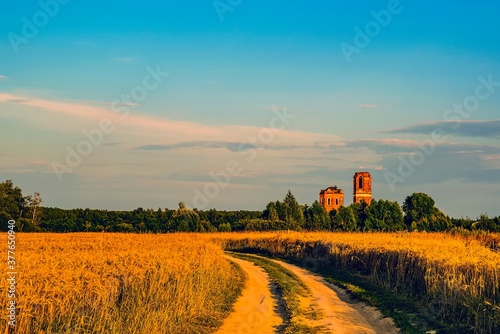 Obraz na plátně A field of wheat, a dirt road and a ruined rural church at sunset of a summer day