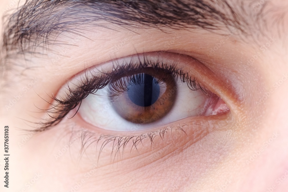 Fototapeta premium Eye macro iris eyebrow beautiful, woman.