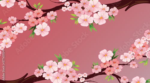 Background design template with pink flower or sakura on the tree