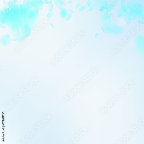 Turquoise flower petals falling down. Wonderful ro