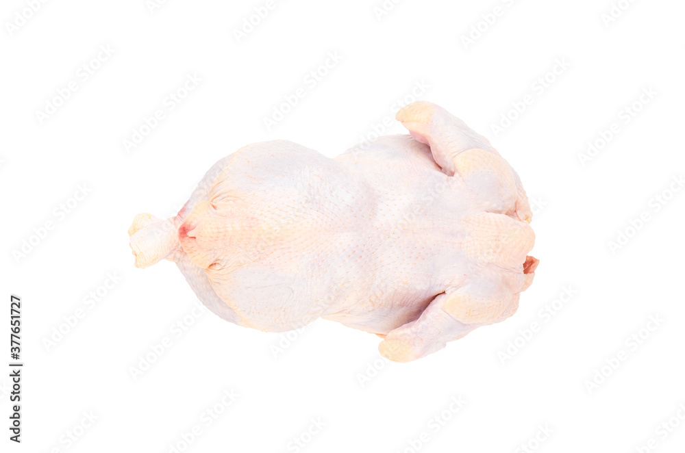 Fresh raw chicken carcass isolated on a white background. Fresh raw chicken carcass isolated on a white background.