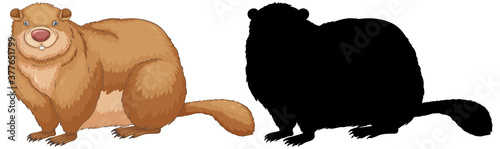Set of groundhog characters and its silhouette on white background
