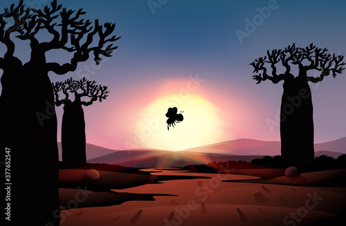Outdoor nature silhouette sunset scene