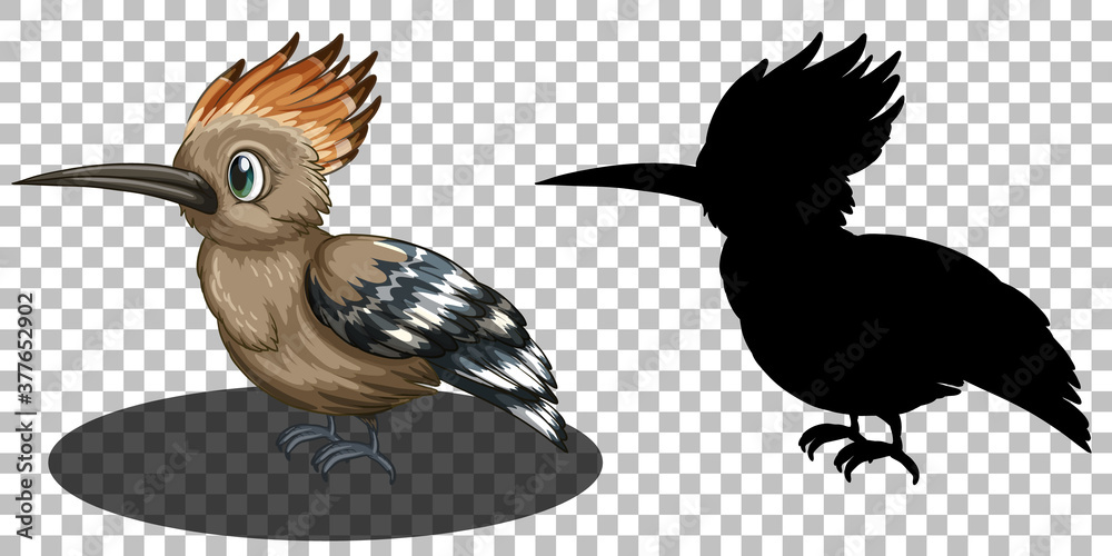 Fototapeta premium Roadrunner bird cartoon character with its silhouette