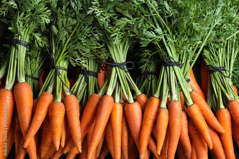 Bunches of tasty raw carrots as background, top view Bunches of tasty raw carrots as background, top view