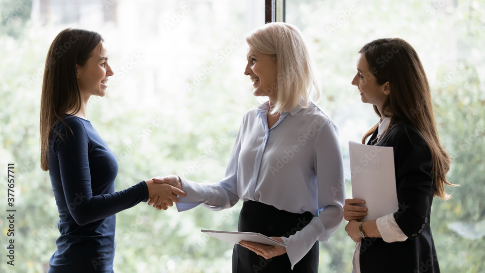 Smiling Businesswoman Greeting A Colleague On A Meeting Stock Photo -  Download Image Now - iStock