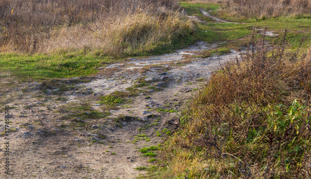 Dirt road in the field Dirt road in the field