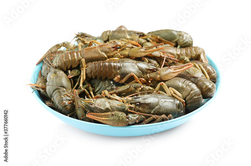 Bowl with fresh raw crayfishes isolated on white. Healthy seafood