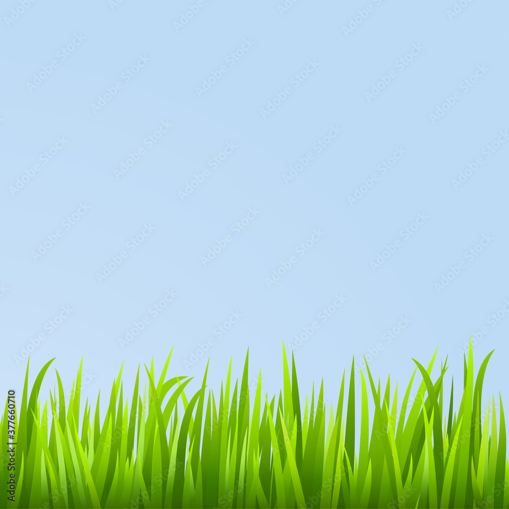 Grass background. Vector illustration. Grass background. Vector illustration.
