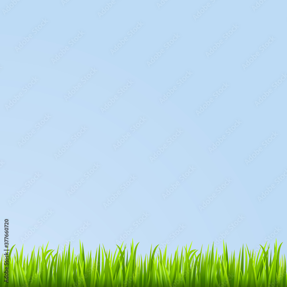 Obraz premium Grass background. Vector illustration.