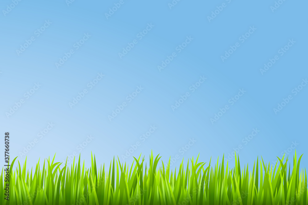 Grass background. Vector illustration. Grass background. Vector illustration.
