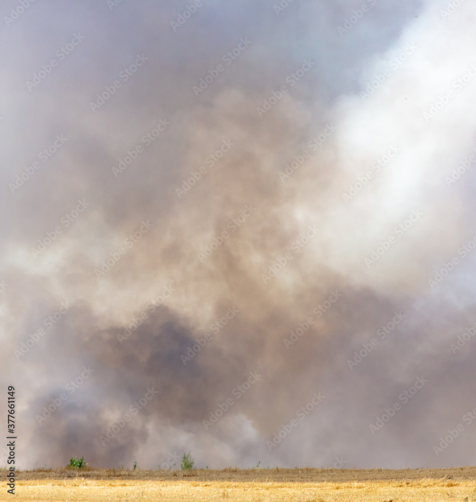 Smoke from a fire in the steppe against the background of the sky