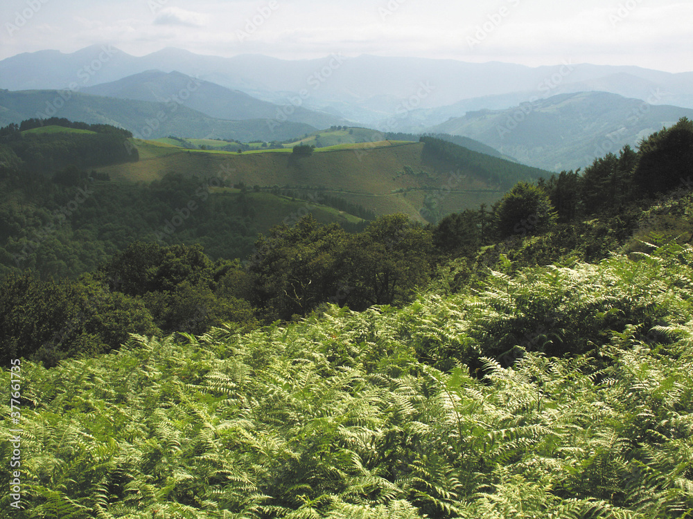 Fototapeta premium Pays-Basque Region Pyrenees Pyrenees-Atlantique France Europe