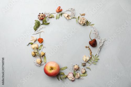 Dried flowers, leaves and apple arranged in shape of wreath on light grey background, flat lay with space for text. Autumnal aesthetic