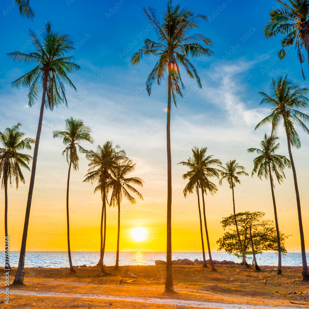 Sunset with palm trees on beach, landscape of palms on sea island