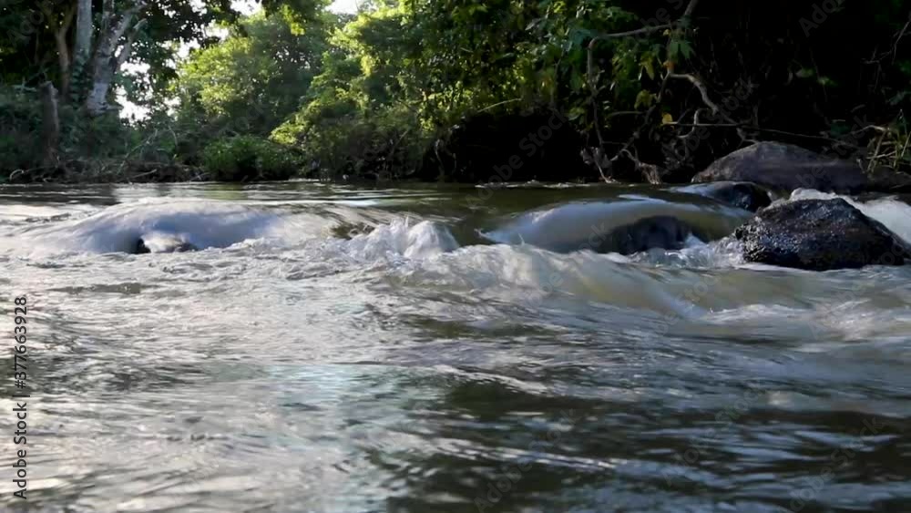 Small beautiful river in the middle of the forest in Brazil Small beautiful river in the middle of the forest in Brazil
