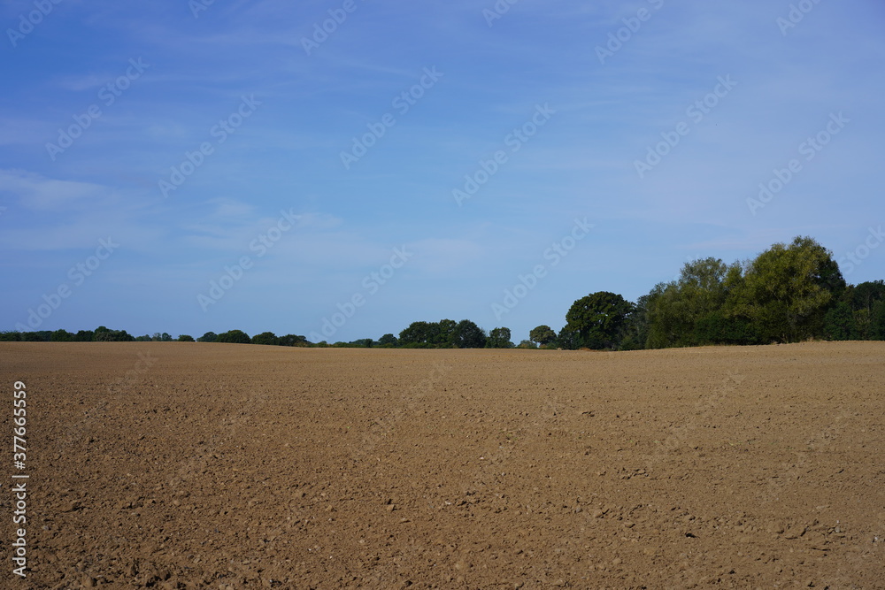 Braunes Feld, grüne Bäume, blauer Himmel, weiße Wolke, Sonnenschein Braunes Feld, grüne Bäume, blauer Himmel, weiße Wolke, Sonnenschein
