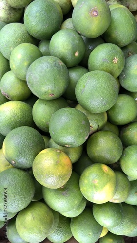 Citrus limetta mousambi sweet lime sweet lemon and sweet limetta picture photo