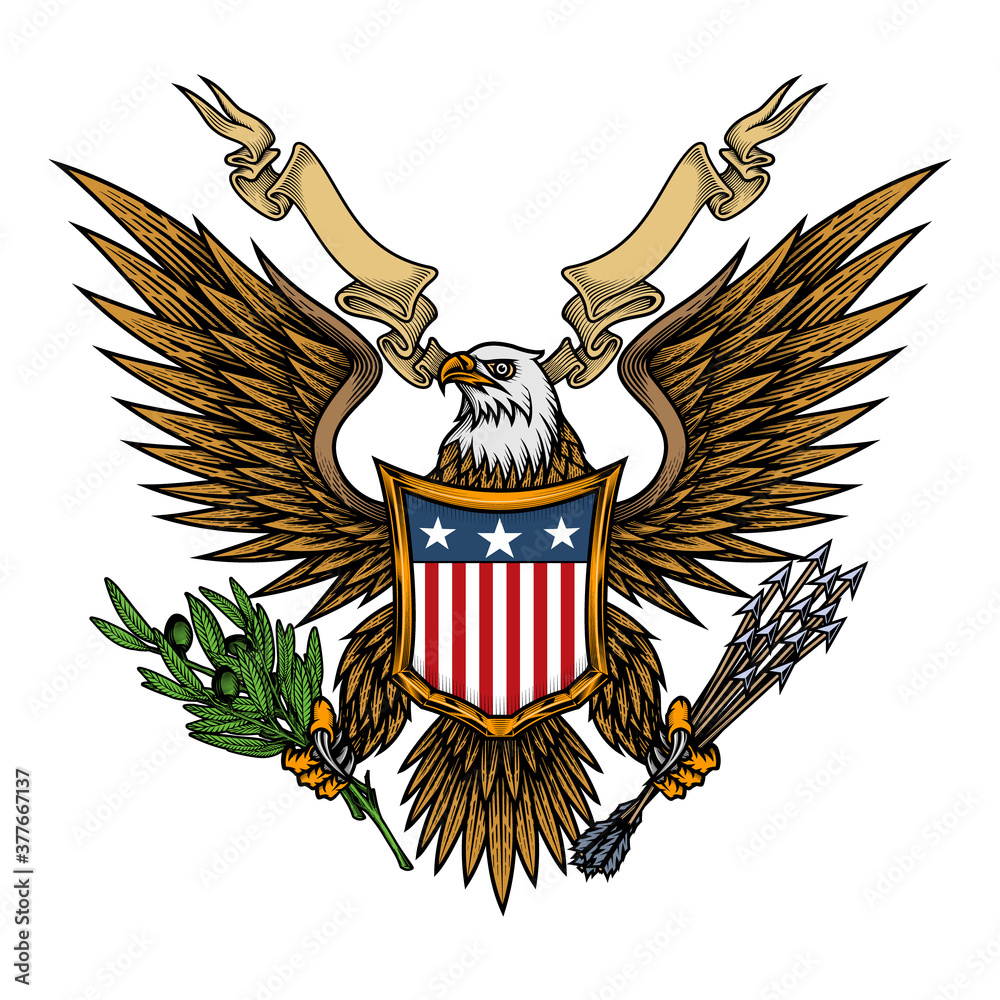 Eagle with shield and ribbon. Colorful vector illustration of bald