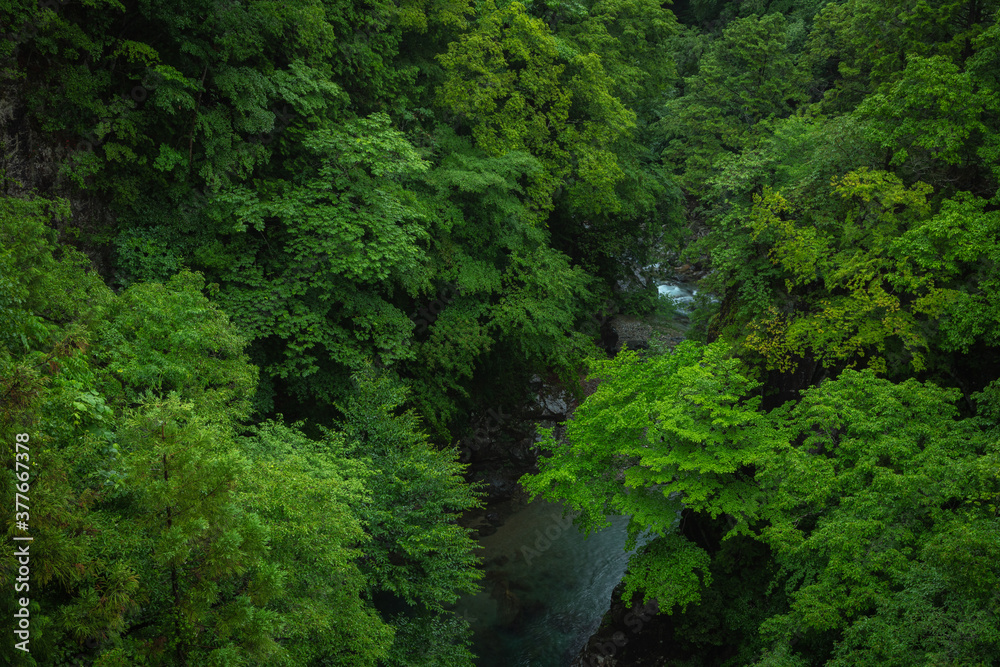 岐阜県 付知峡 夏 岐阜県 付知峡 夏
