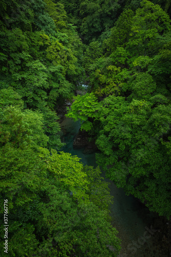 岐阜県 付知峡 夏