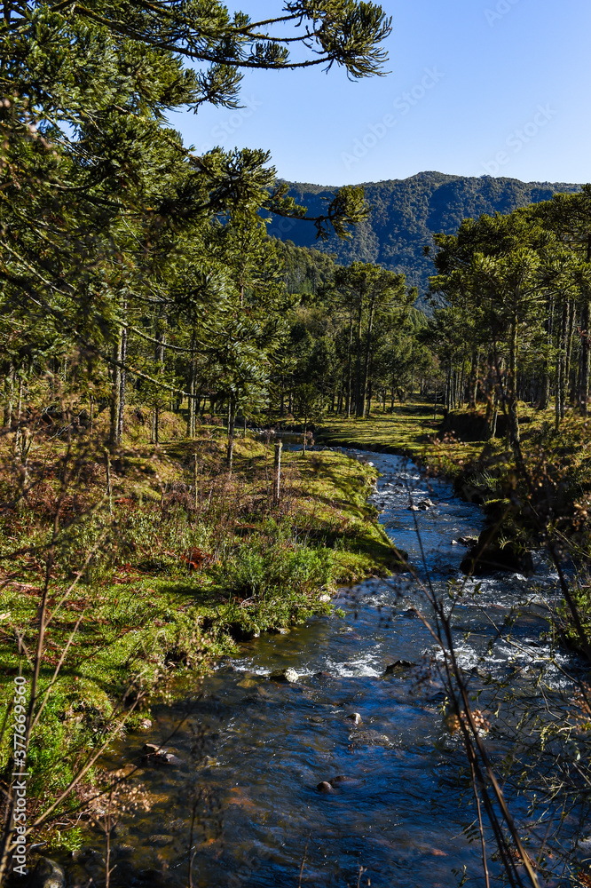 Nature scene, Canoas River in the city of Urubici, Serra do Santa Catarina state, Brazil. Nature scene, Canoas River in the city of Urubici, Serra do Santa Catarina state, Brazil.