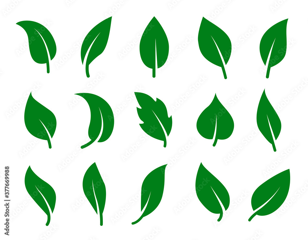 Plakat Set of green leaves. Collection of simple vector silhouettes.
