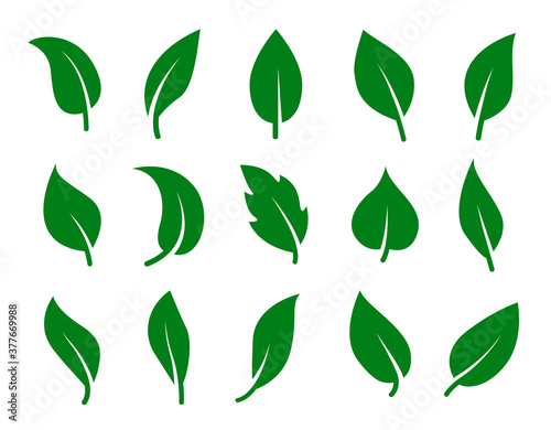 Set of green leaves. Collection of simple vector silhouettes.
