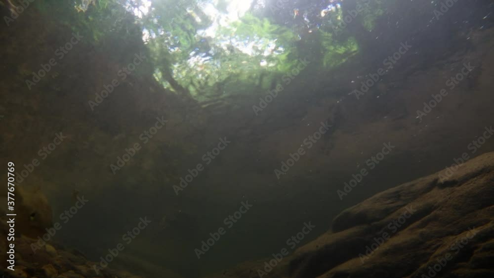 Kaeng Krachan National Park is home to a lot of fantastic wild animals and the streams are life source of fresh water for animals to drink and for fish to swim around.