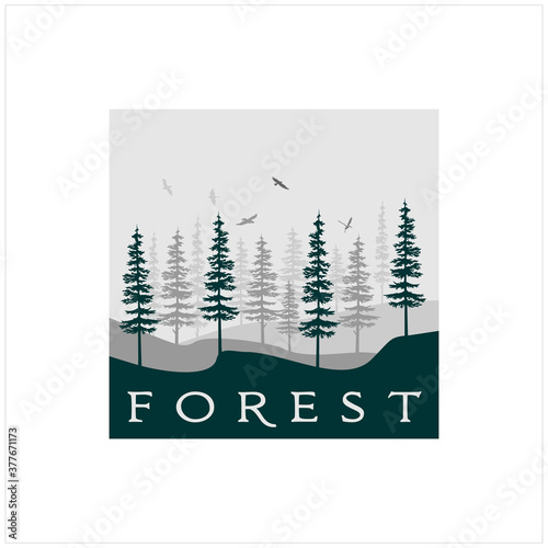 Silhouette Retro Vintage Pine, Evergreen, Fir, Hemlock, Spruce, Conifer, Cedar Trees Forest Logo Design