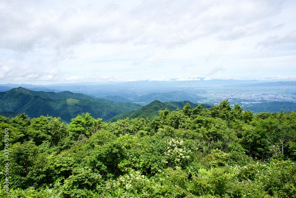 The view from the mountain in Yamagata.