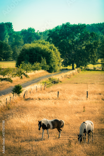 Spätsommer im Naturschutzgebiet Riddagshausen