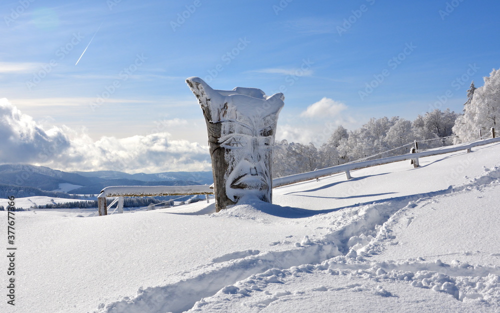 Fototapeta premium Schauinsland im Winter