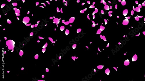 4K Cherry Blossom Falling background Loop