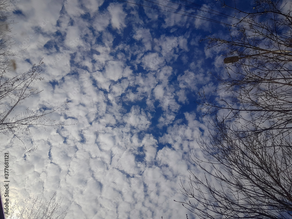 Fototapeta premium Blue sky and clouds background in bright sunny weather