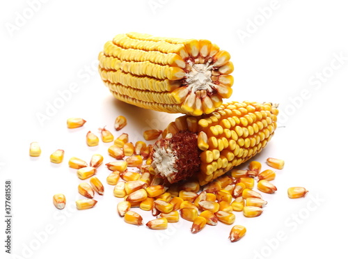 Fresh half cob of corn isolated on white background photo