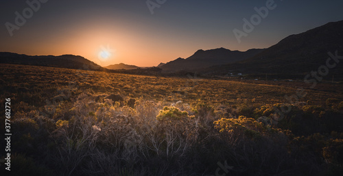Cape Point IV