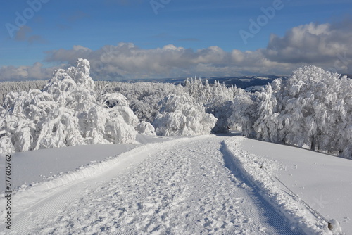 Winter im Schwarzwald