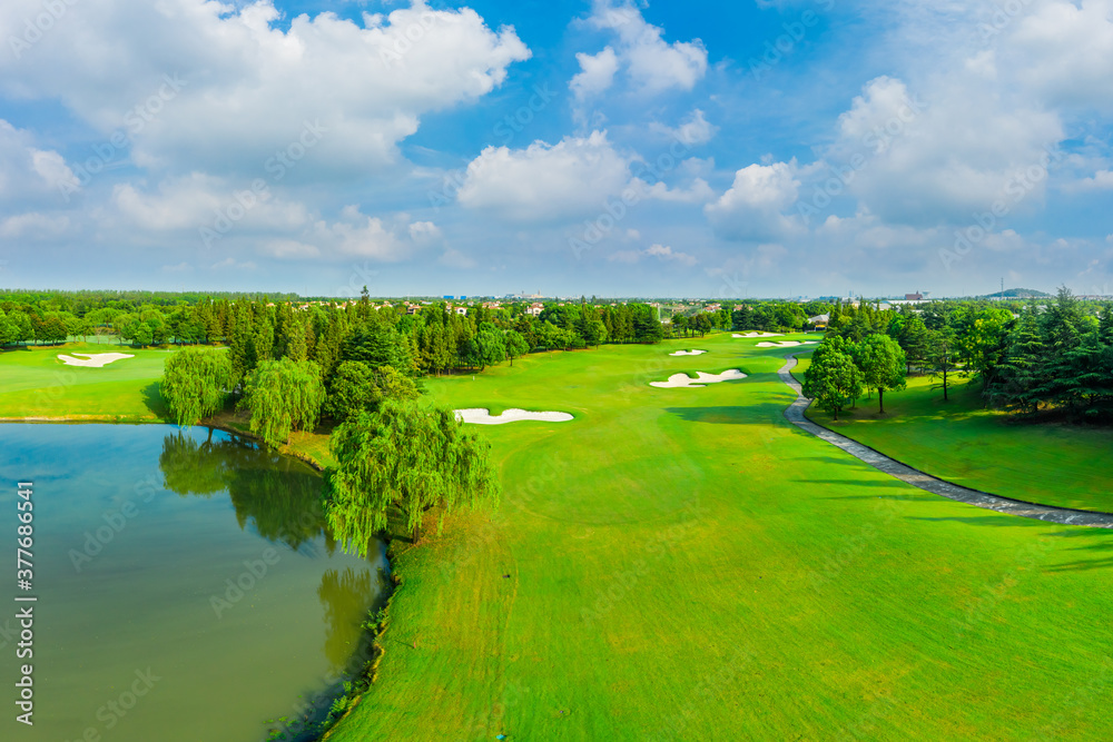 Aerial view of green grass and tree on golf course.