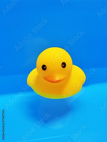 러버덕 (rubber duck) © Sleeping duck