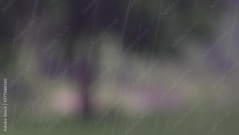 Rain comes in the jungle anytime and one must enjoy the most out of it; here is a footage of the rain falling at Huai Kha Khaeng Wildlife Sanctuary with a tree blurred at the background. Rain comes in the jungle anytime and one must enjoy the most out of it; here is a footage of the rain falling at Huai Kha Khaeng Wildlife Sanctuary with a tree blurred at the background.