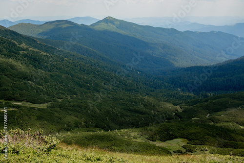 Carpathians mountain range at summer morning. Beauty of wild virgin Ukrainian nature. Peacefulness.