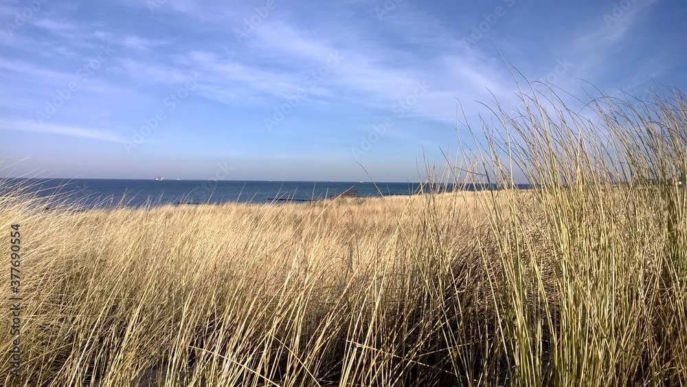 Am Strand Am Strand