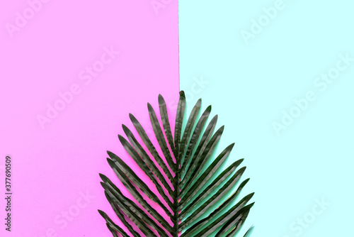 Background Concept. Coconut and palm leave on green and pink background. Top view and copy space.