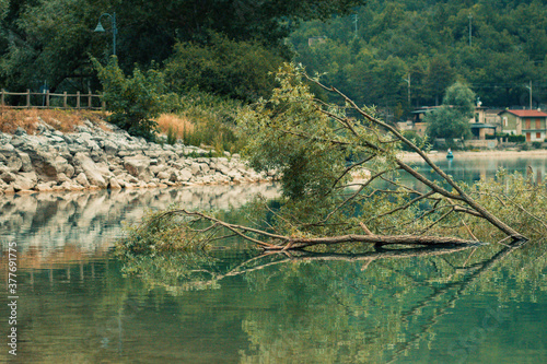 nets in the lake