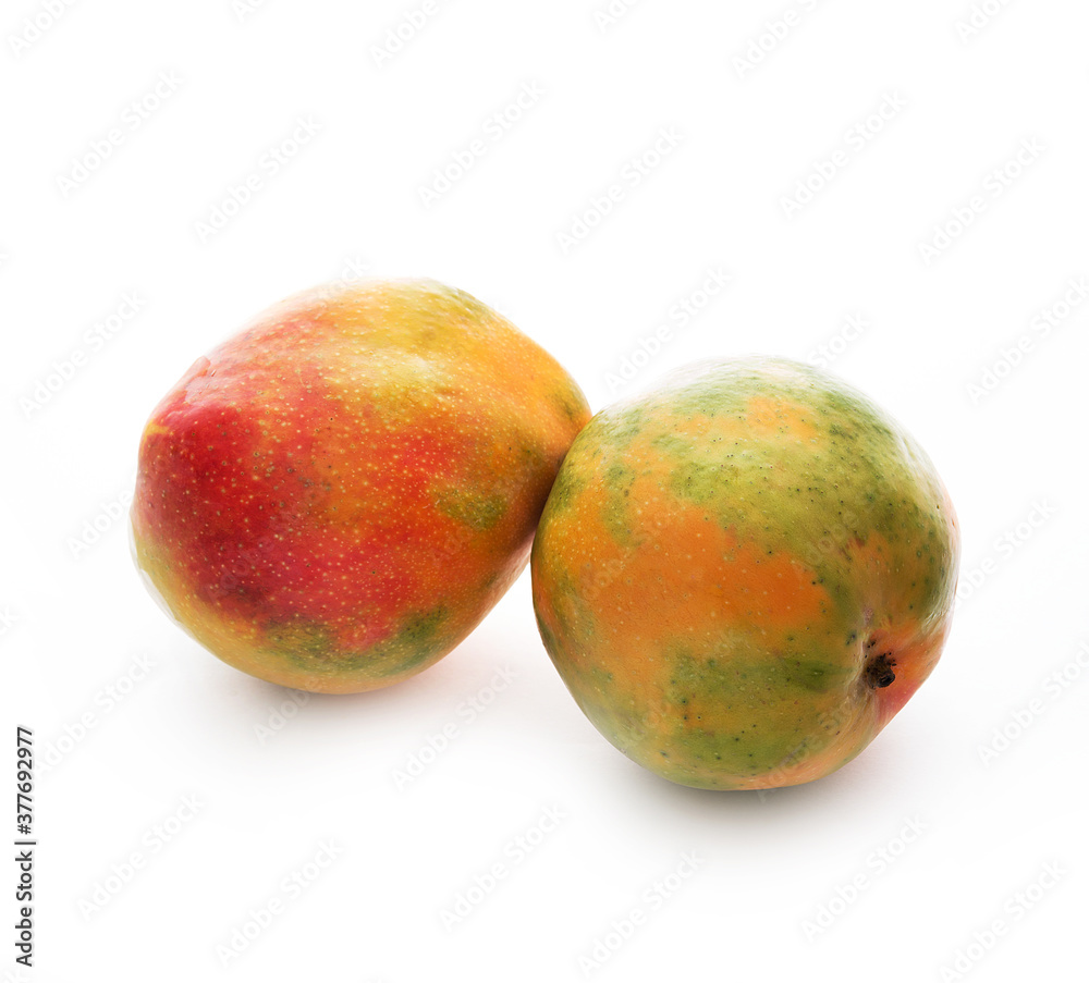 Two ripe Israeli mangoes isolated on a white background, close-up Two ripe Israeli mangoes isolated on a white background, close-up