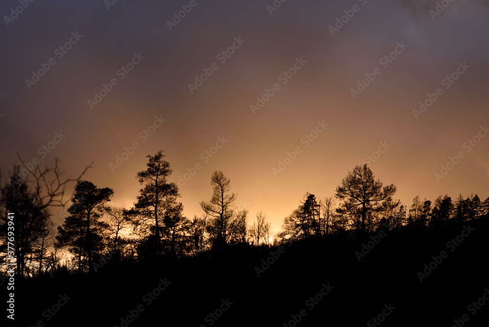 sunset in the forest of the mountains