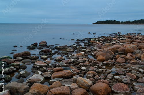 sandy stones shore of blue bay of Ladoga Lake in autumn, with trees on the horizon